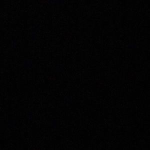 Meet your Posher, Coco